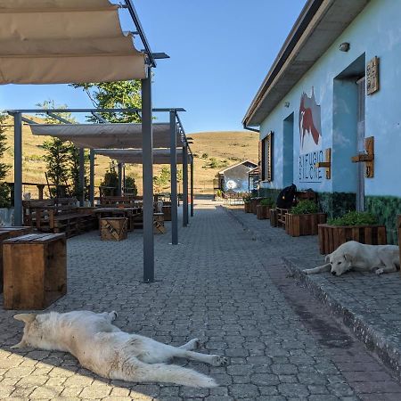 Rifugio Silone Pansiyon Pescina Dış mekan fotoğraf